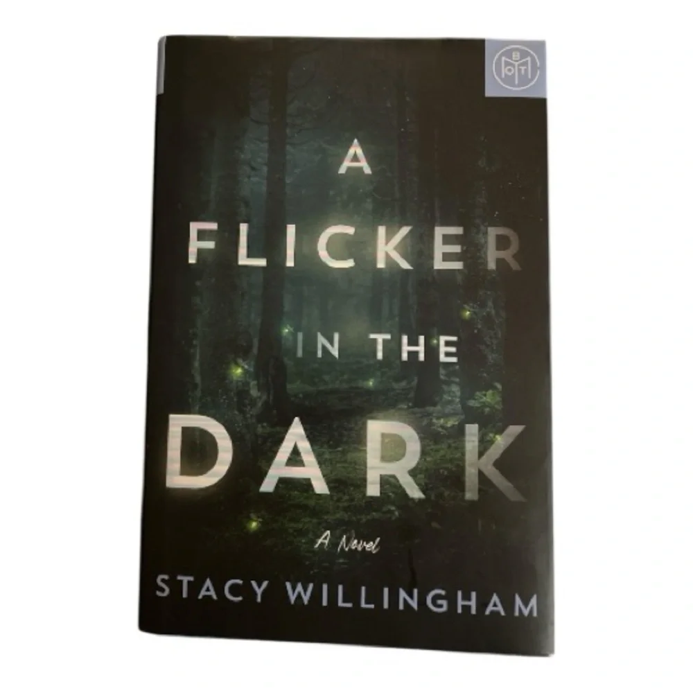 A Flicker in the Dark Novel by Stacy Willingham